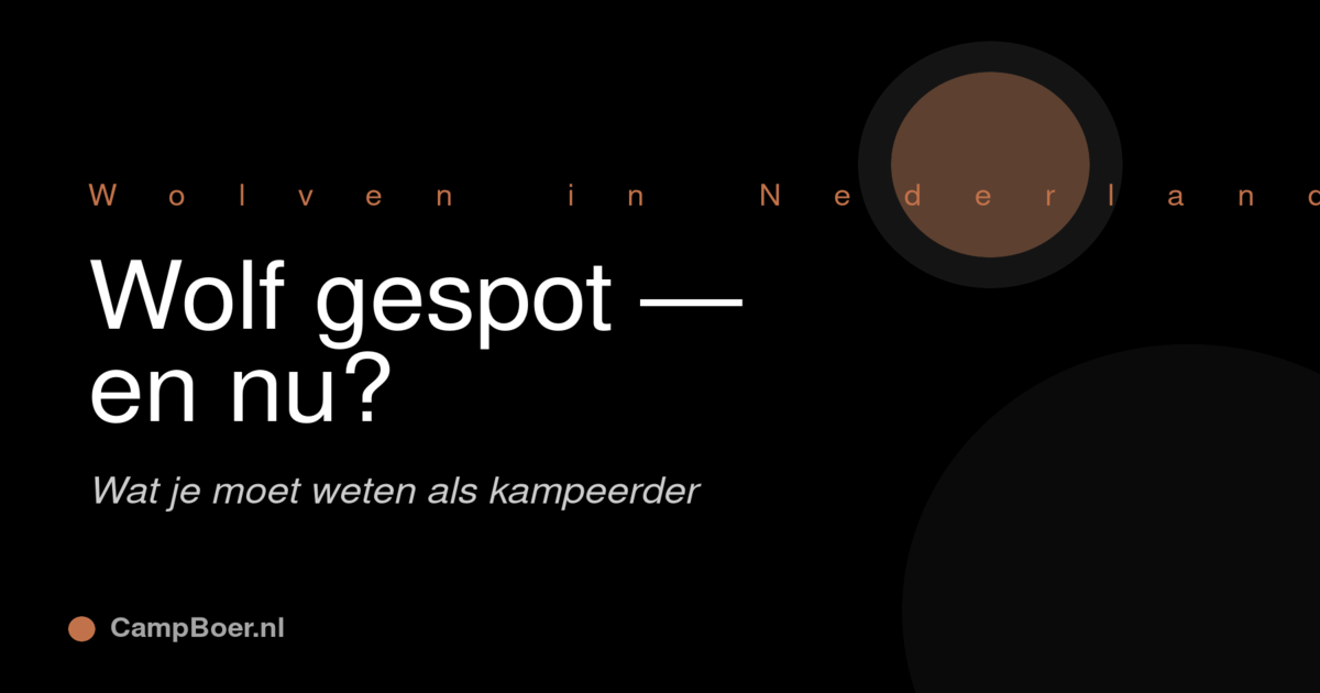 Afbeelding bij blog: Wolf gespot in Nederland — wat moet je weten als kampeerder?